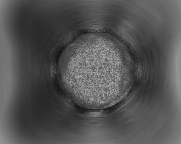 X0000092300236200710121453