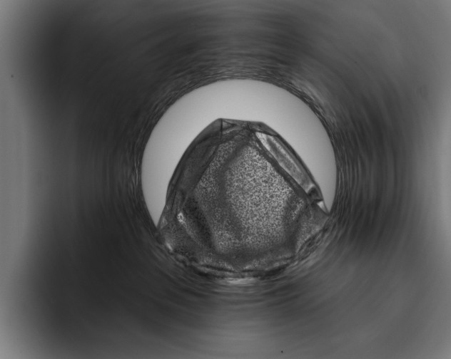 X0000092300237200710121453