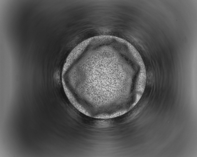 X0000092300238200710121453