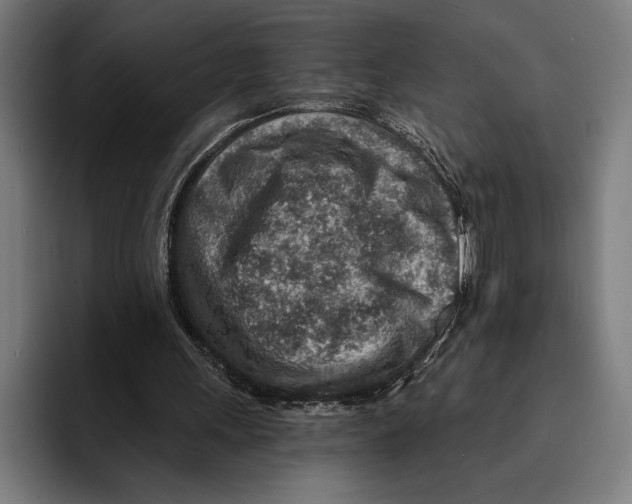 X0000092300243200710121452