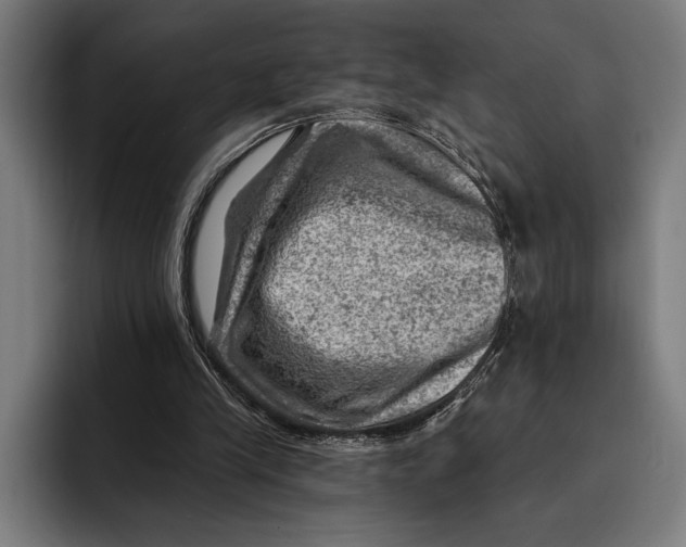 X0000092300245200710121452