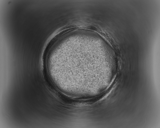 X0000092300246200710121452