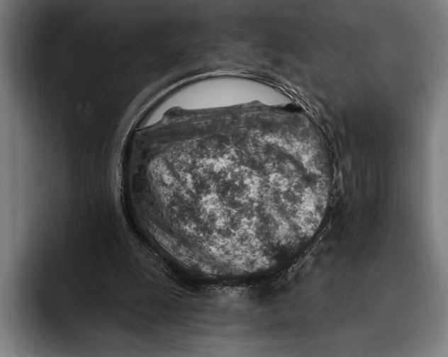 X0000092300247200710121452