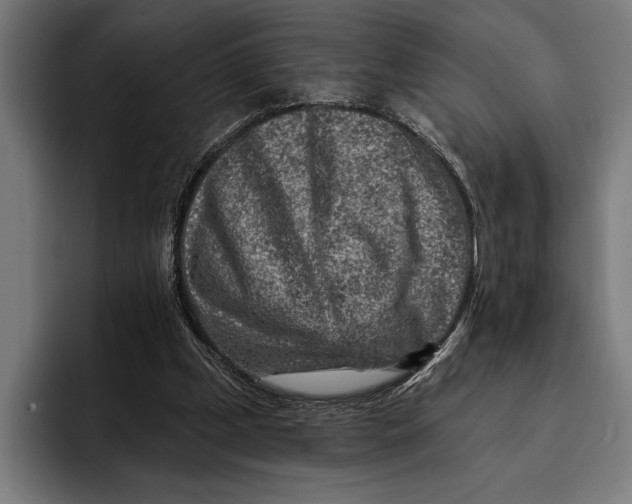 X0000092300249200710121452