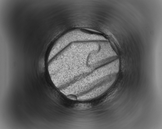 X0000092300251200710121452