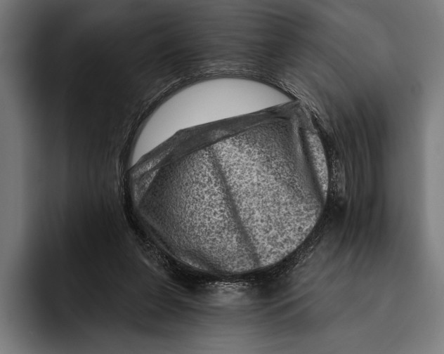 X0000092300255200710121452