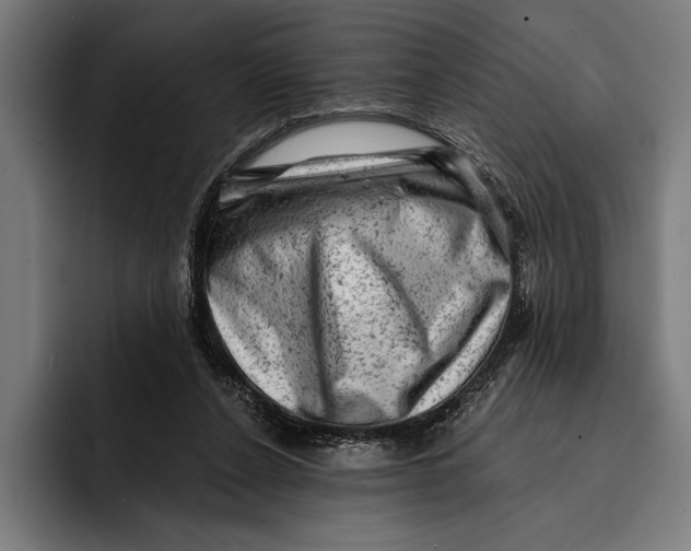 X0000092300256200710121452