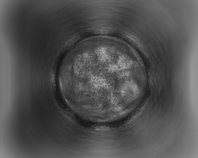 X0000092300258200710121452