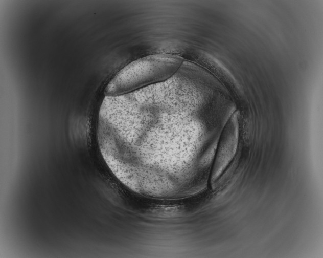 X0000092300260200710121452