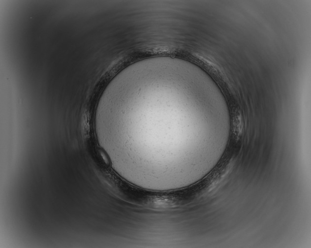 X0000092300264200710121452