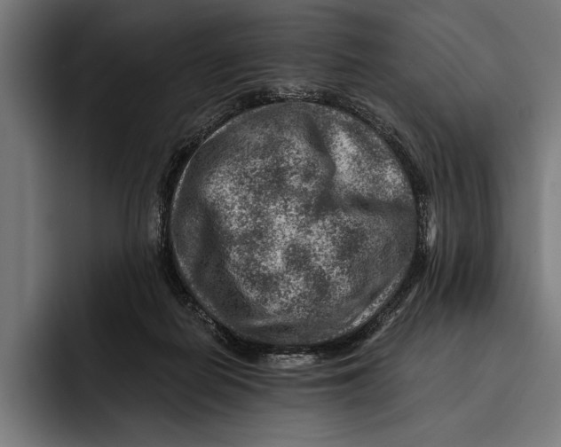 X0000092300266200710121452