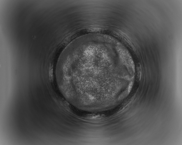 X0000092300267200710121452