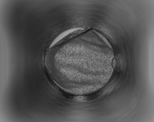 X0000092300269200710121452