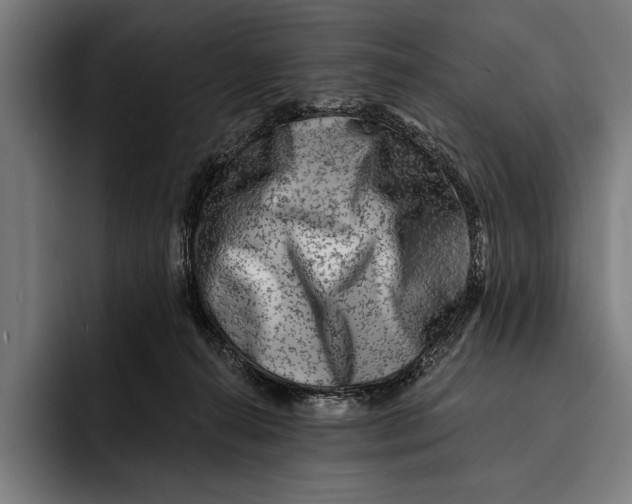 X0000092300272200710121452