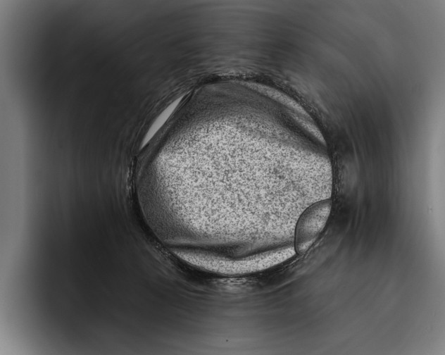 X0000092300273200710121452