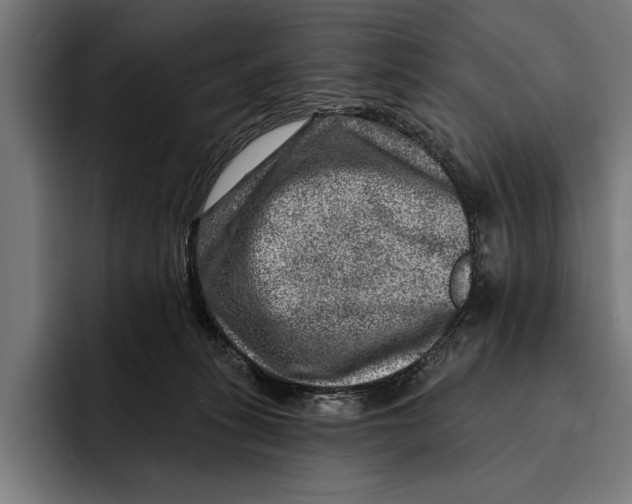 X0000092300275200710121452