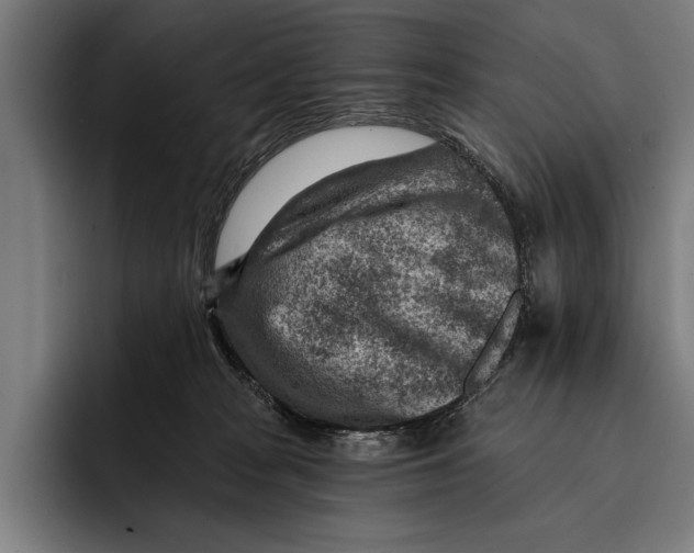 X0000092300277200710121452