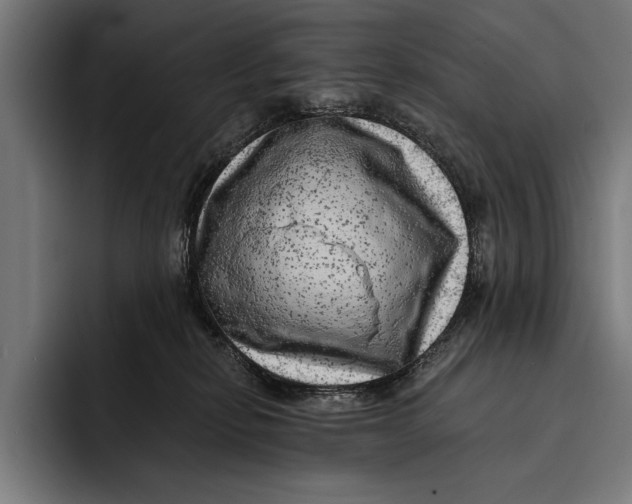 X0000092300278200710121452