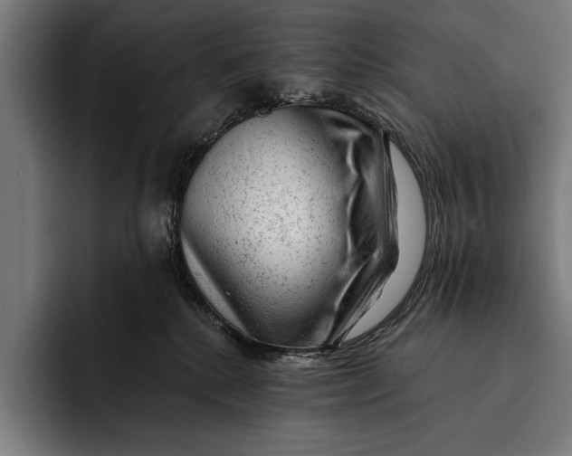 X0000092300280200710121453