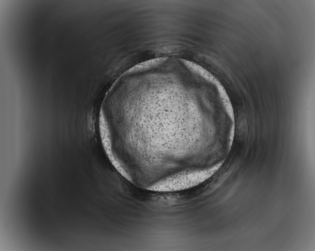 X0000092300282200710121453