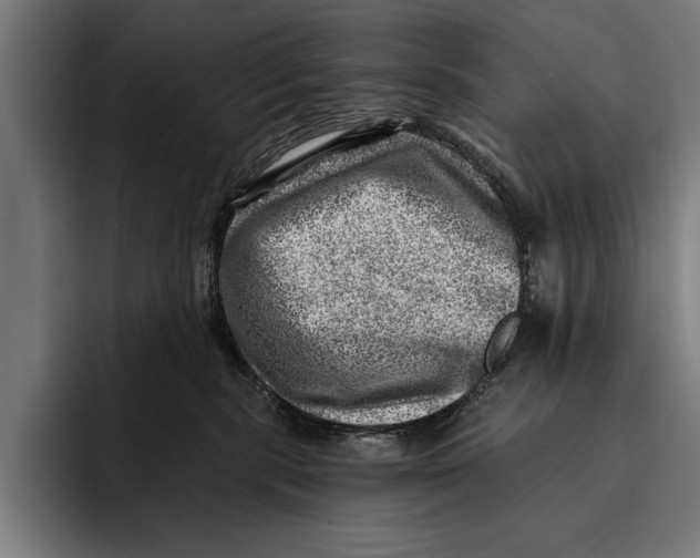 X0000092300283200710121453