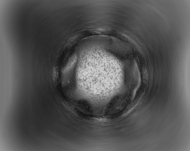 X0000092300284200710121453