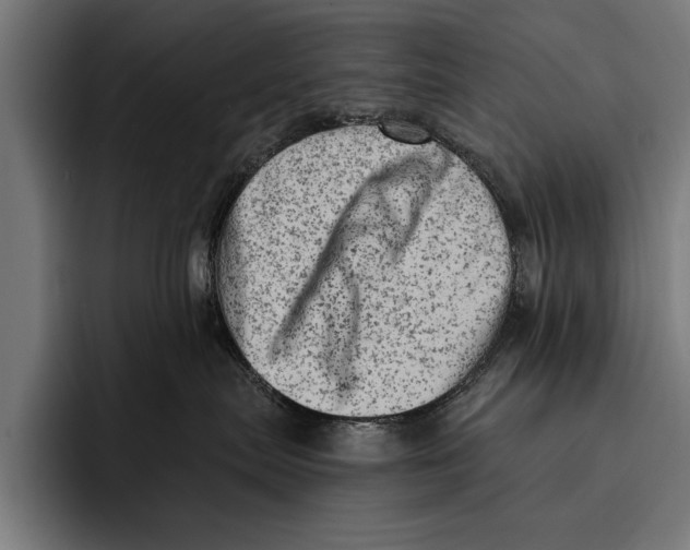 X0000092300287200710121453