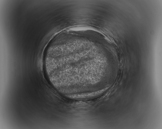 X0000092300290200710121452