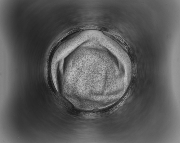 X0000092300293200710121452