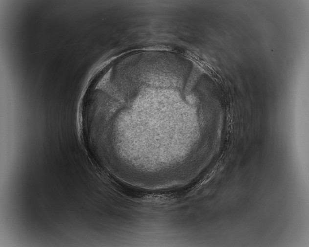 X0000092300294200710121452