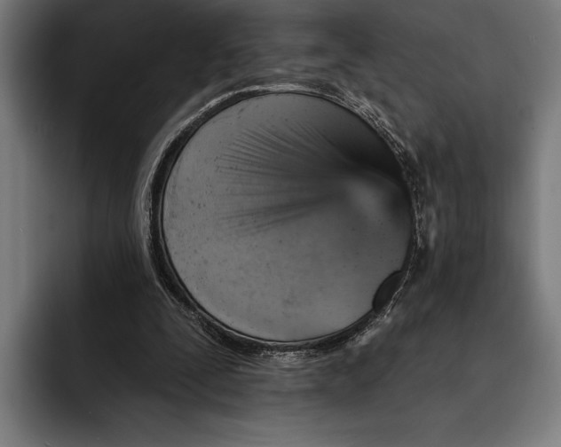 X0000092300295200710121452