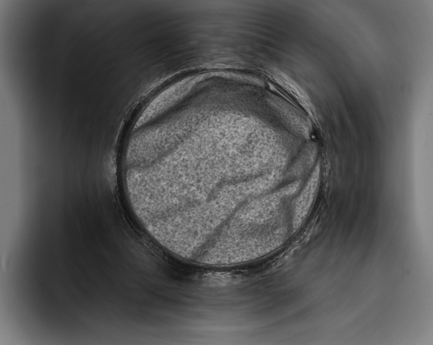 X0000092300298200710121452