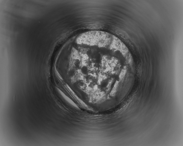 X0000092300303200710121452