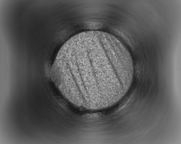 X0000092300307200710121452