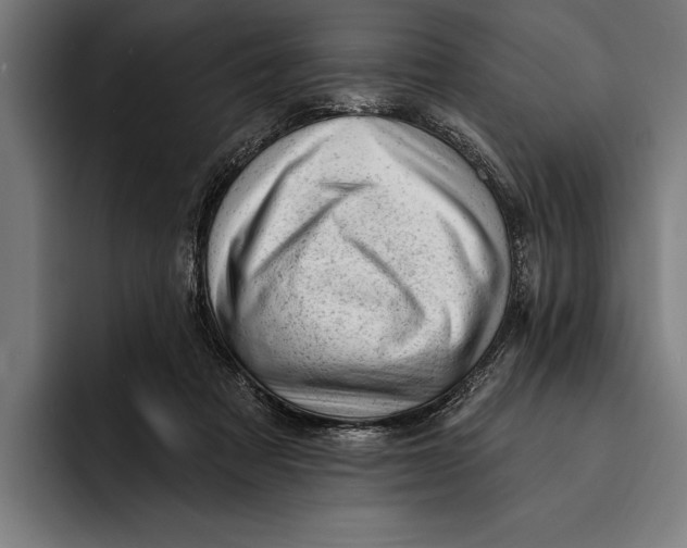 X0000092300313200710121452