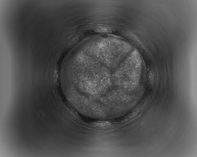 X0000092300322200710121452