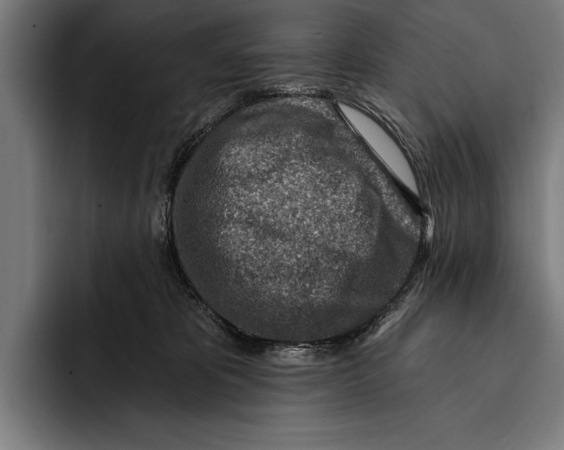 X0000092300325200710121452