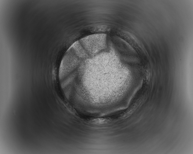 X0000092300326200710121452