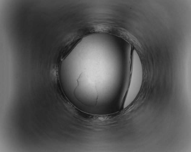 X0000092300329200710121452