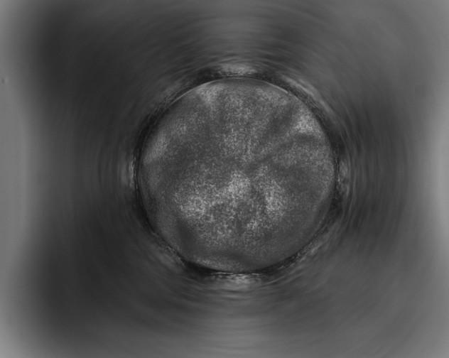 X0000092300330200710121452