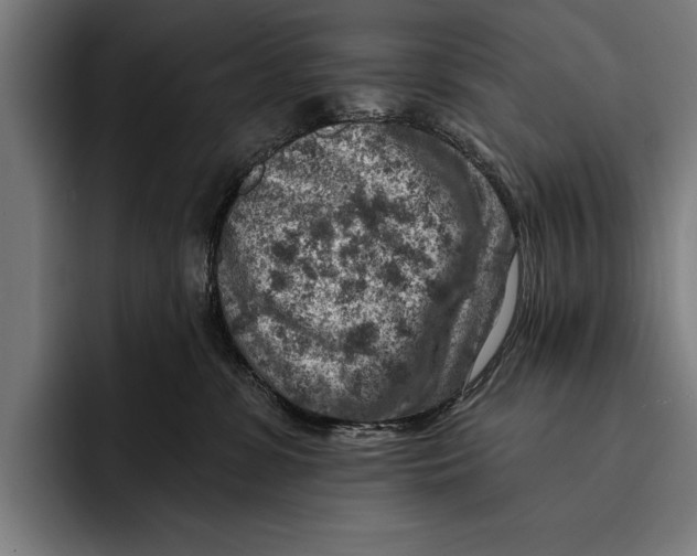 X0000092300331200710121452