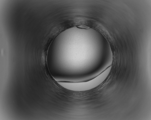 X0000092300333200710121452