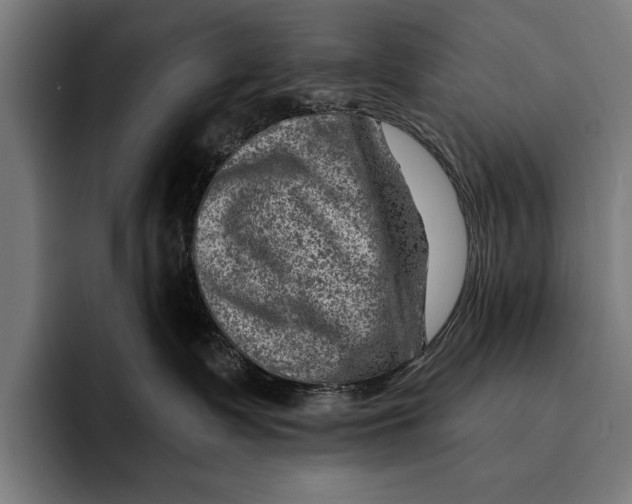 X0000092300335200710121452