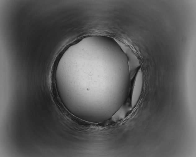 X0000092300340200710121451