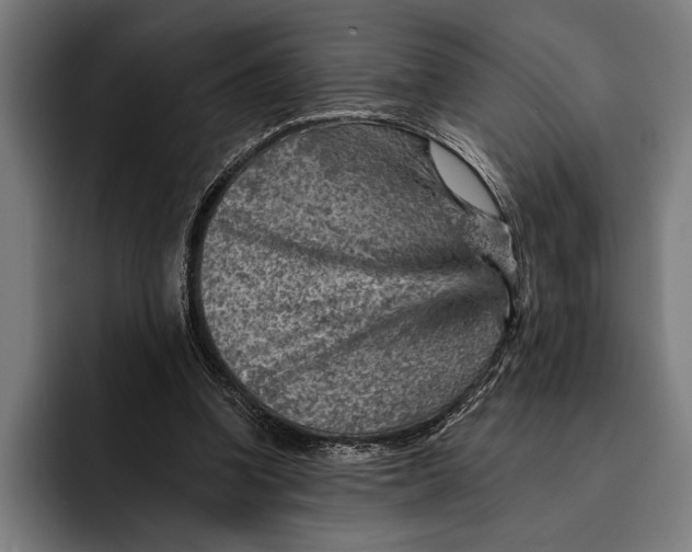 X0000092300346200710121451