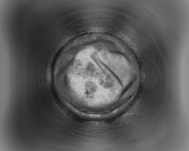 X0000092300347200710121451