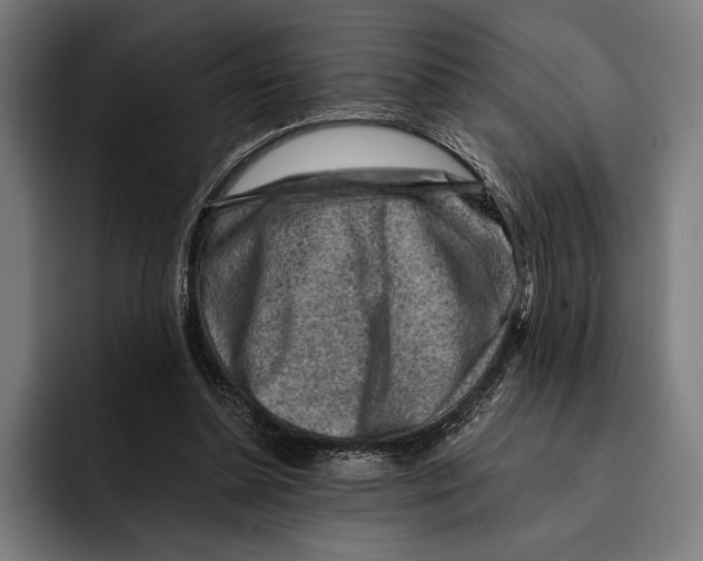 X0000092300348200710121451