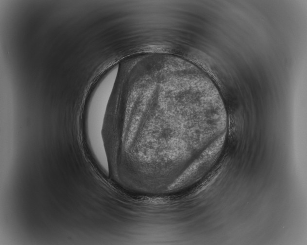 X0000092300349200710121451