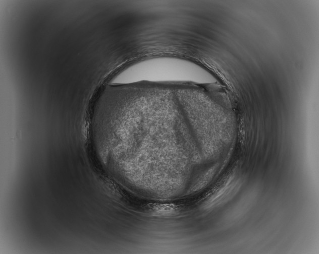 X0000092300355200710121451