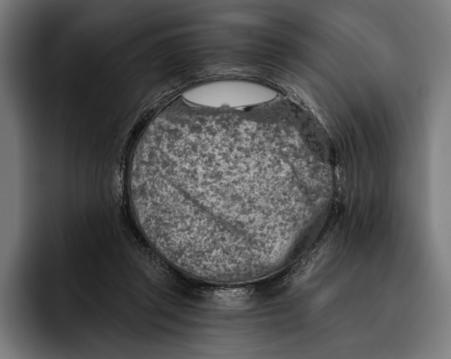 X0000092300357200710121451